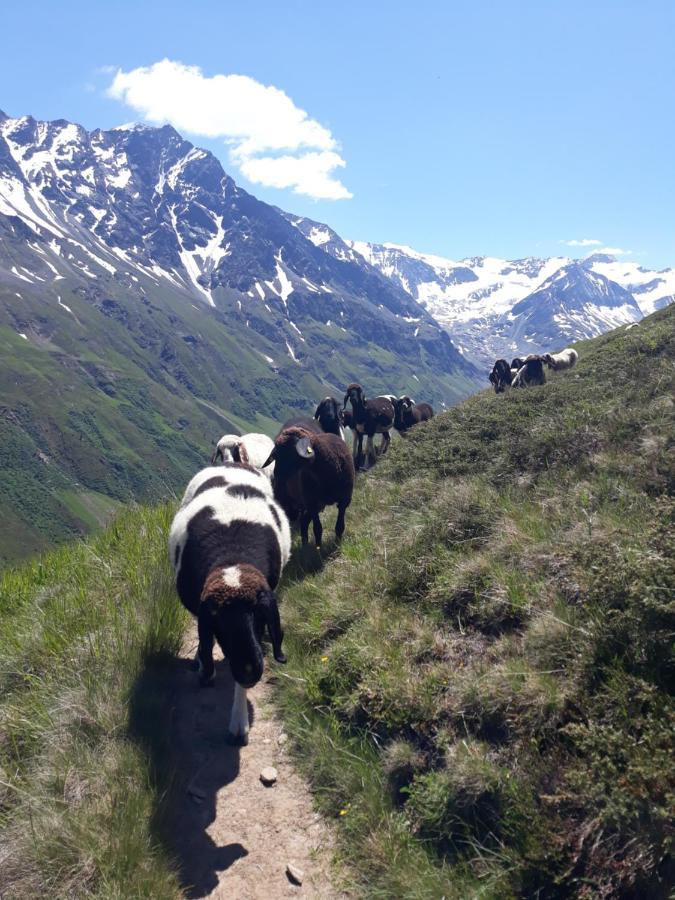 Berg-Juwel Apartamento Sankt Leonhard im Pitztal Exterior foto